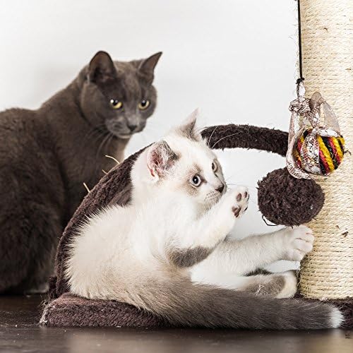 3 קומות חתול עץ-קטיפה מדורגת חתול מגדל עם מגרד הודעות, טיפוס סולם, חתול דירה ותלייה צעצוע לחתולים וחתלתולים על