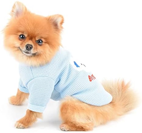 כלב קטן חולצת טריקו דוב אביב קיץ חמוד גור בגדים רך נוח לנשימה חתולים תלבושות מקורה חיצוני, כחול