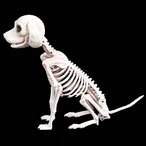 Prop Dog Halloween Parton Party עצמות קישוט אימה חינוך חנות לבעלי חיים משחקי לוח בני 4 לילדים