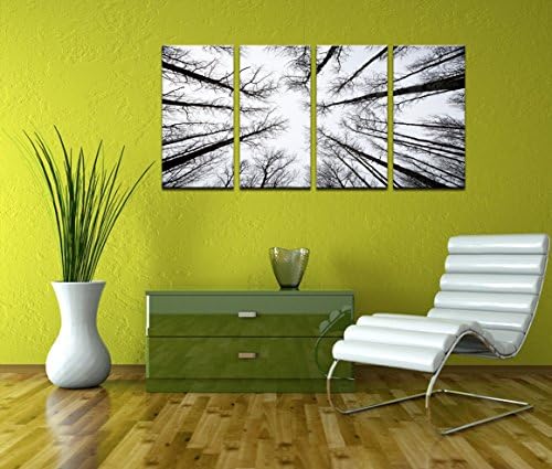 - שחור ולבן יער בד קיר אמנות נמוך זווית נוף אספן עצי תמונה הדפסה על בד, סן חואן לאומי יער,4 פנלים