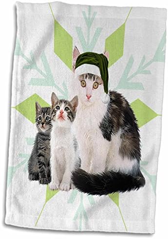 3 דרוז גברת טופרס חתול עם חתלתולים בכובע סנטה ירוק פתית שלג לחג המולד - מגבות